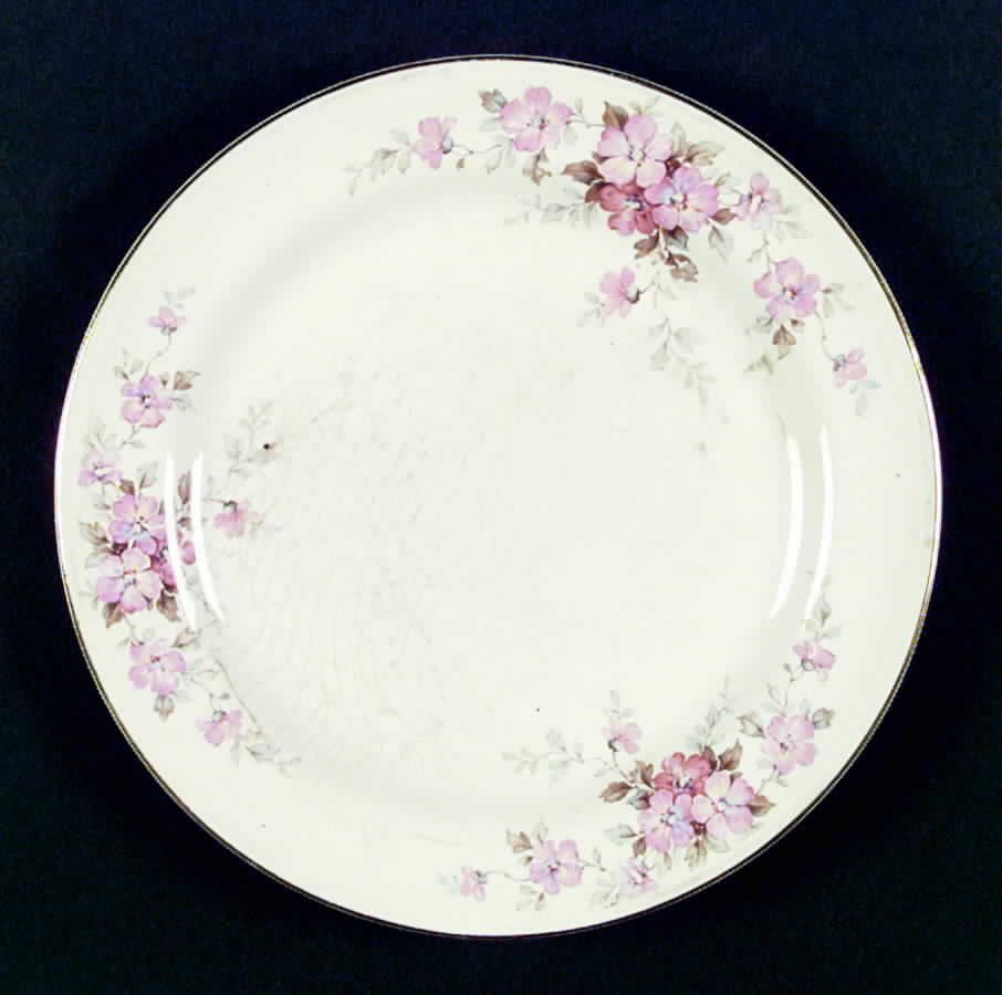 HLC1501 Dinner Plate by Homer Laughlin -1