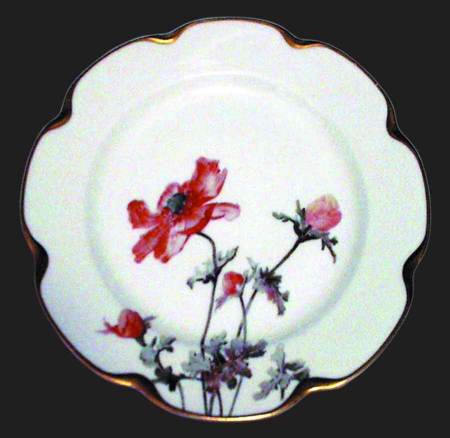 H1326 Luncheon Plate by Haviland-1