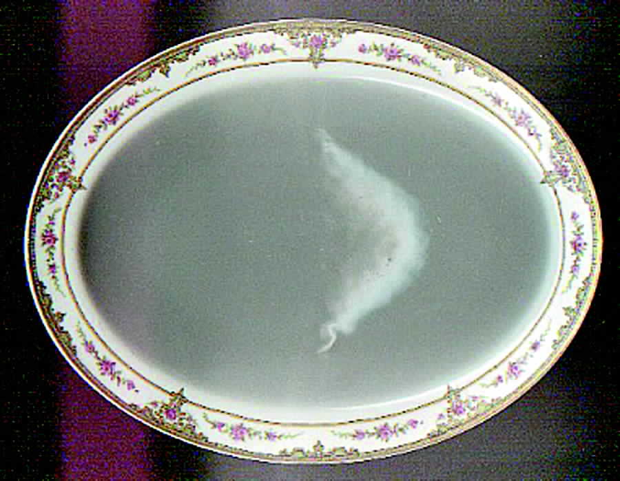 Schleiger 618 14" Oval Serving Platter by Haviland-1