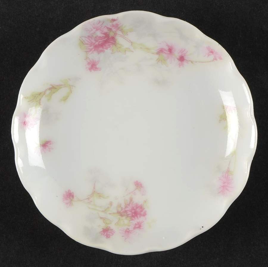Schleiger 262b Butter Pat by Haviland-1