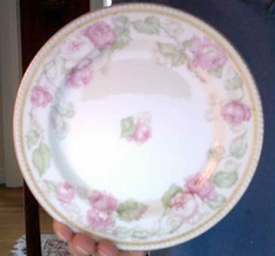 Schleiger 267a Luncheon Plate by Haviland-1