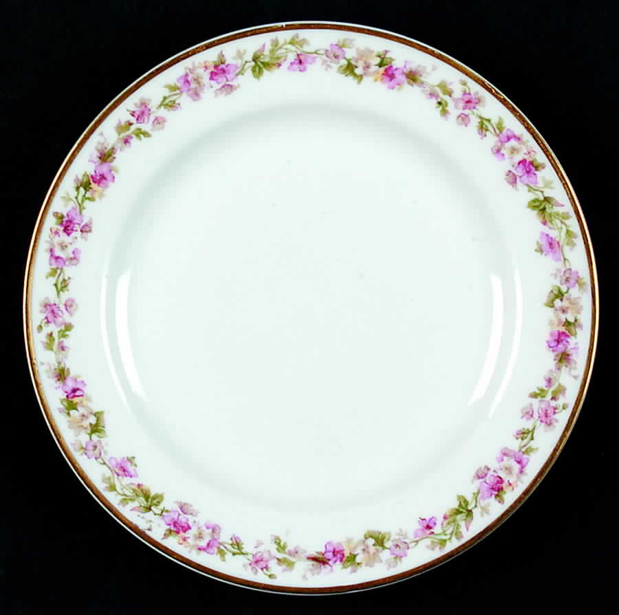 Schleiger 273a Bread & Butter Plate by Haviland-1