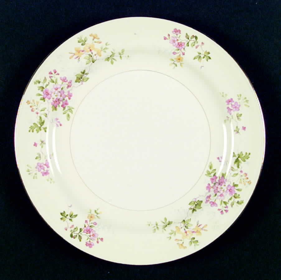 R2658 Dinner Plate by Homer Laughlin -1