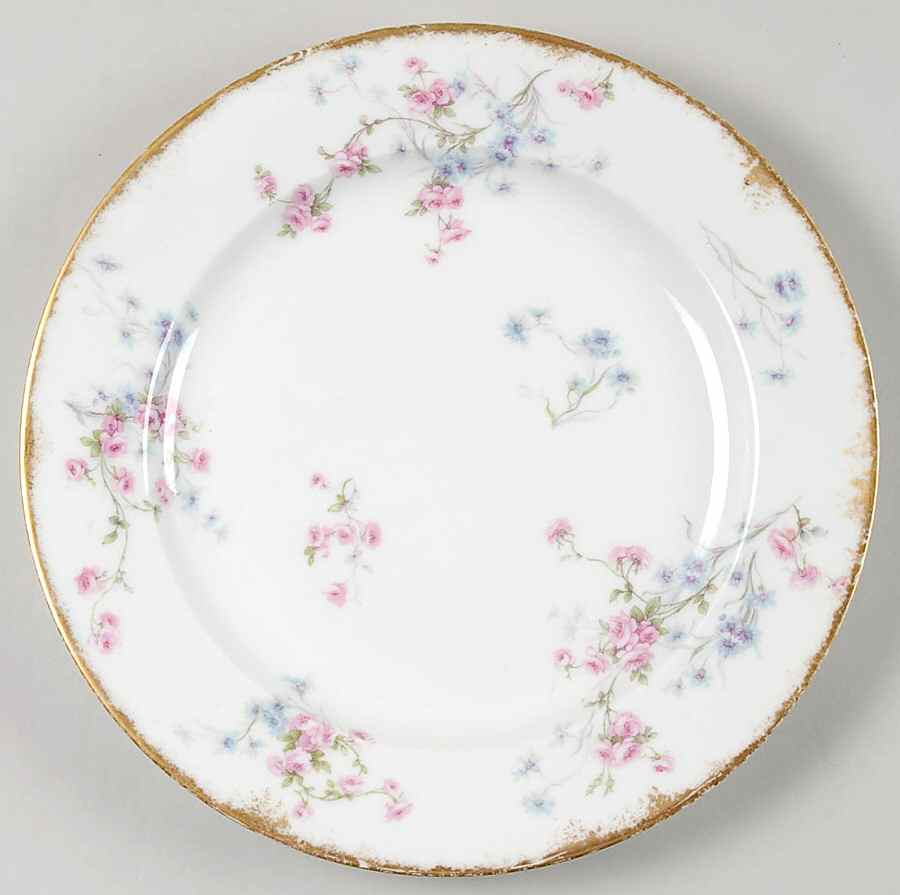 Schleiger 309d Dinner Plate by Haviland-1