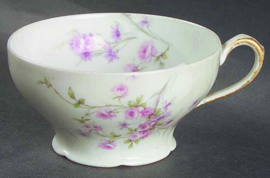 Schleiger 309j Footed Cup by Haviland-1