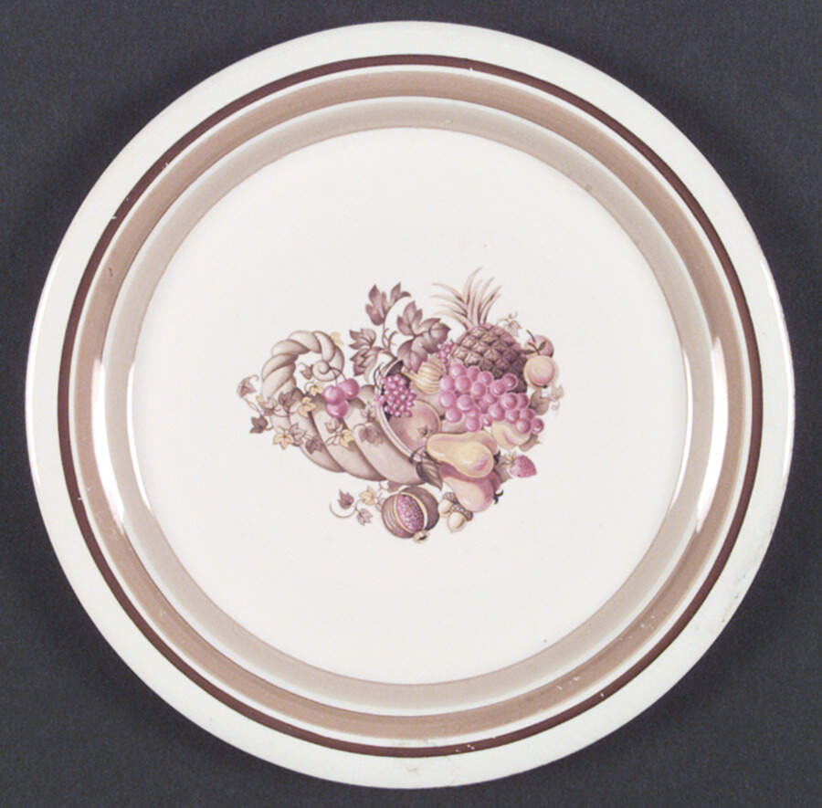 HLC1641 Dinner Plate by Homer Laughlin -1