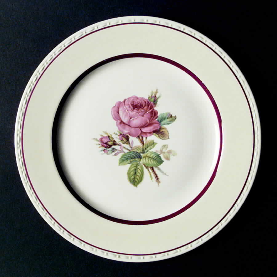 G3331 Dinner Plate by Homer Laughlin -1