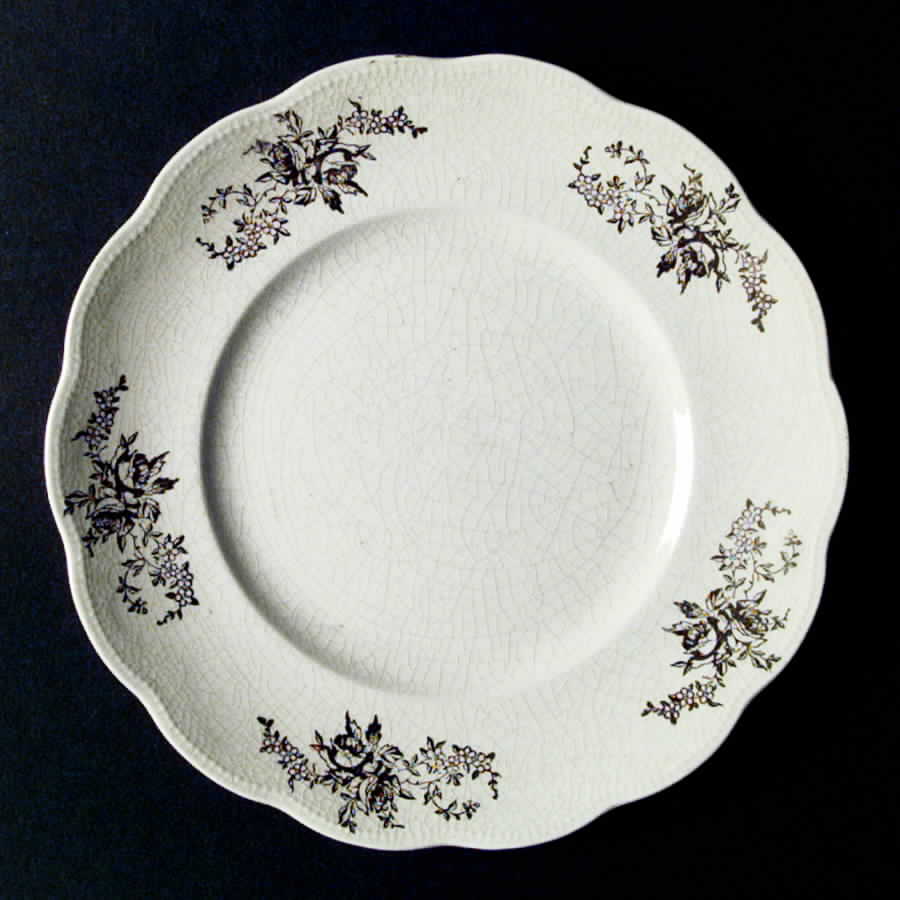 1107A Dinner Plate by Homer Laughlin -1