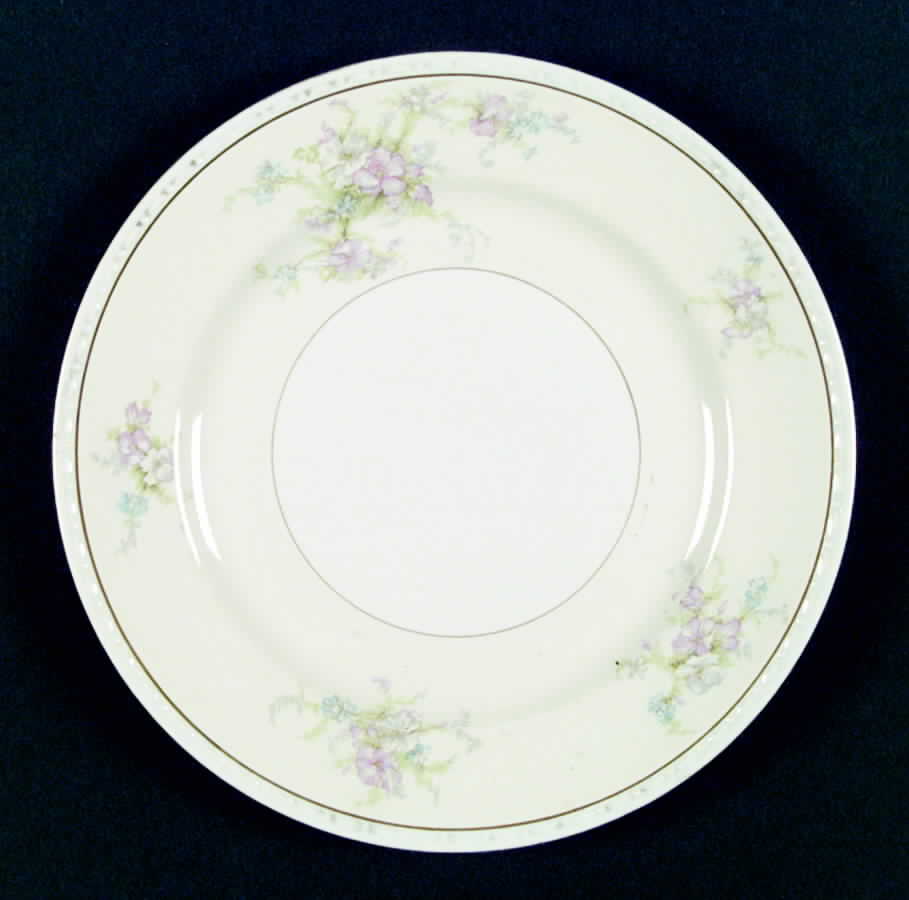 2399-2 Dinner Plate by Homer Laughlin -1