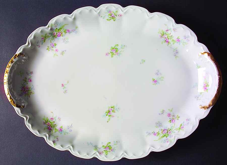 Schleiger 310e 18" Oval Serving Platter by Haviland-1