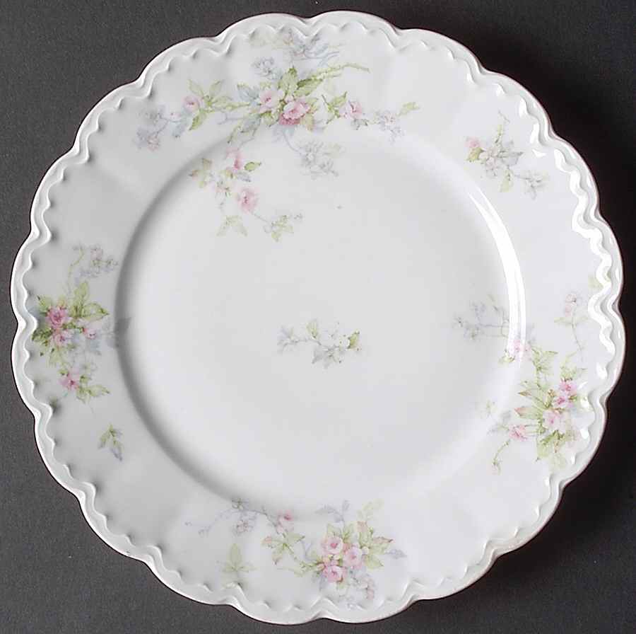 Schleiger 310e Luncheon Plate by Haviland-1