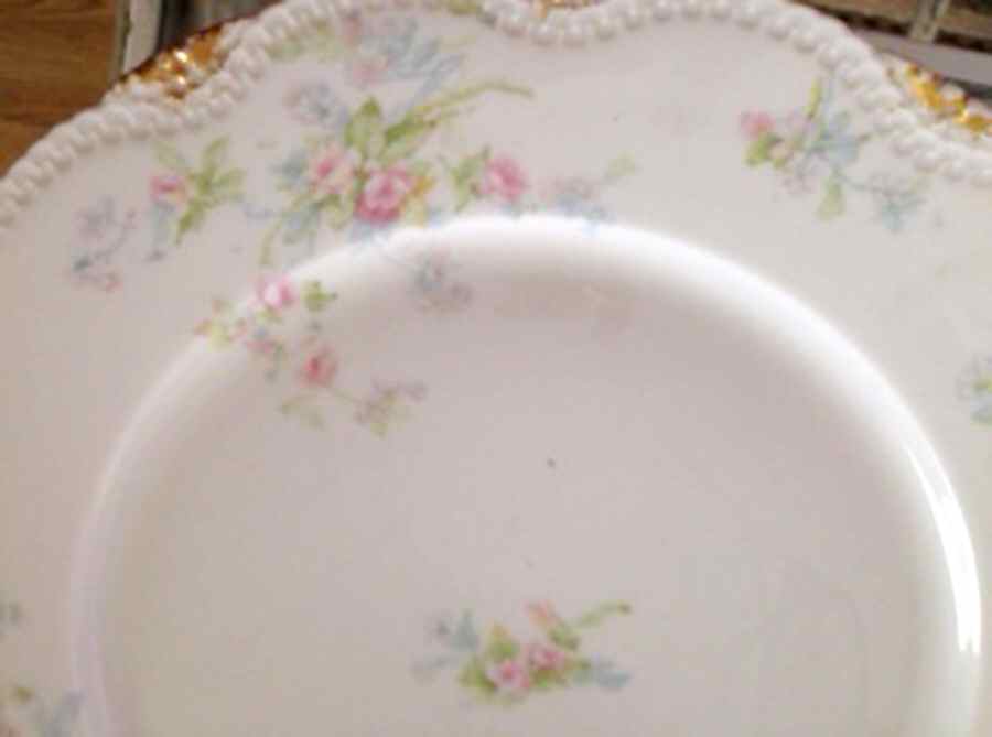 Schleiger 310f Dinner Plate by Haviland-1