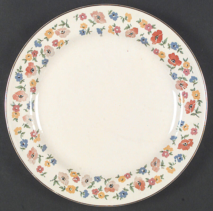 HLC1255 Dinner Plate by Homer Laughlin -1