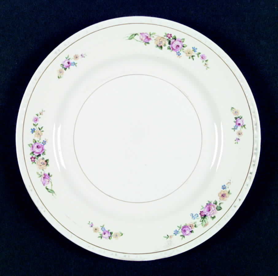 R6087 Dinner Plate by Homer Laughlin -1