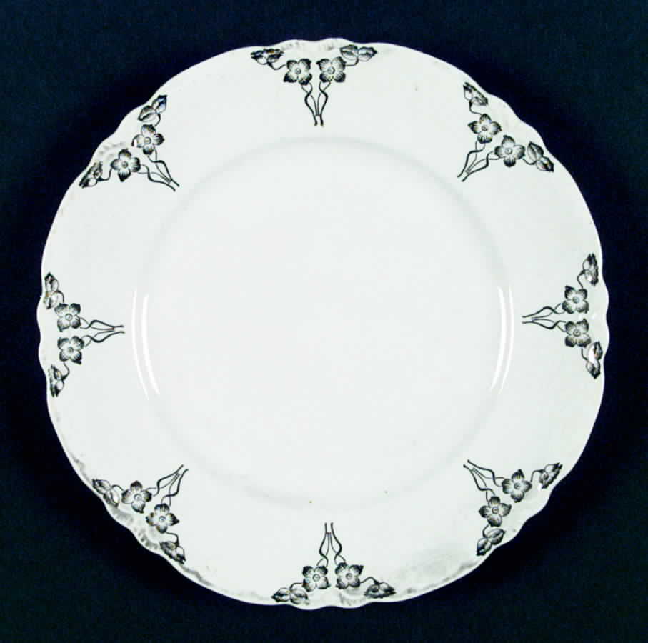 R2700 Dinner Plate by Homer Laughlin -1