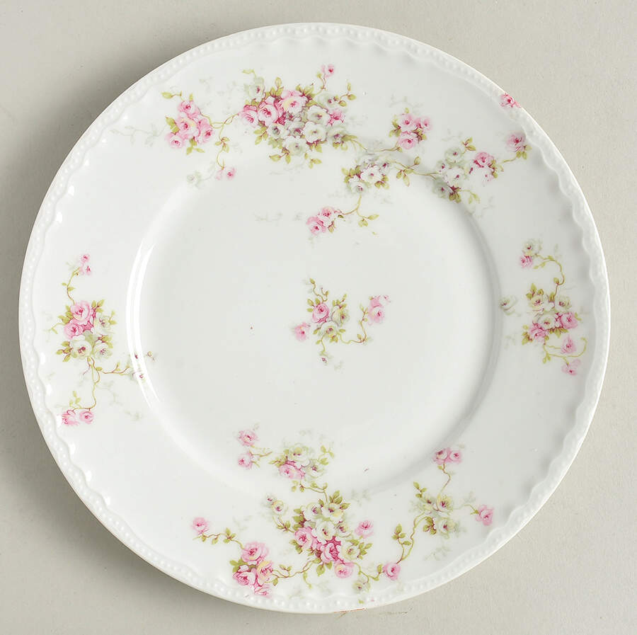Schleiger 320i Salad Plate by Haviland-1