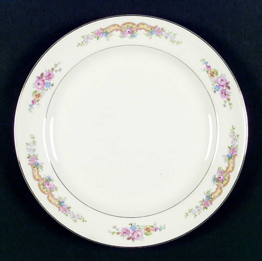HLC1394 Dinner Plate by Homer Laughlin -1
