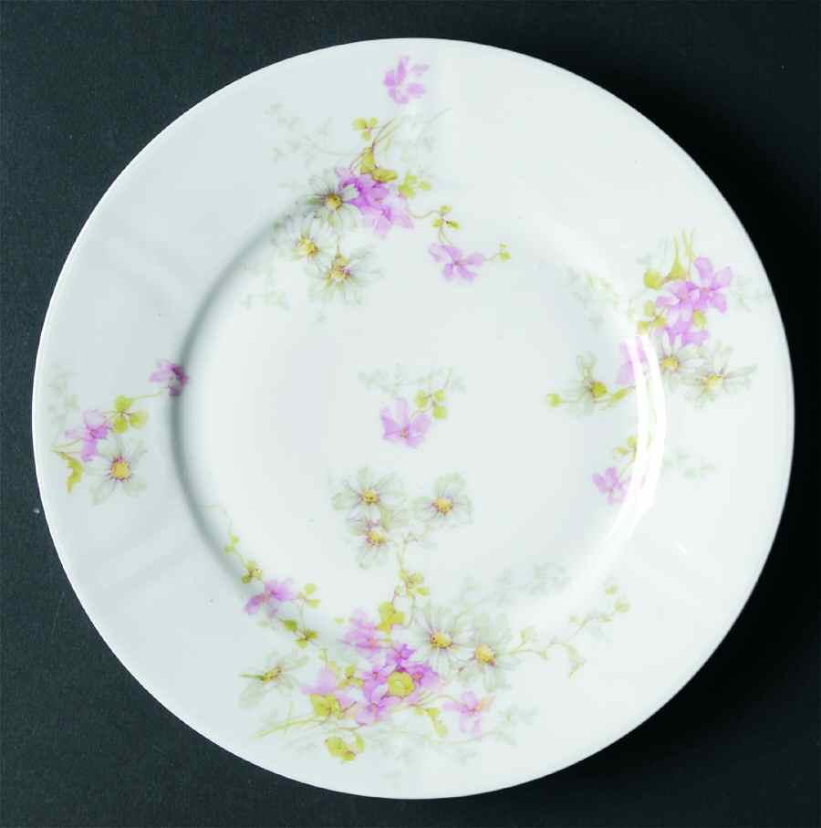 Schleiger 331d Salad Plate by Haviland-1