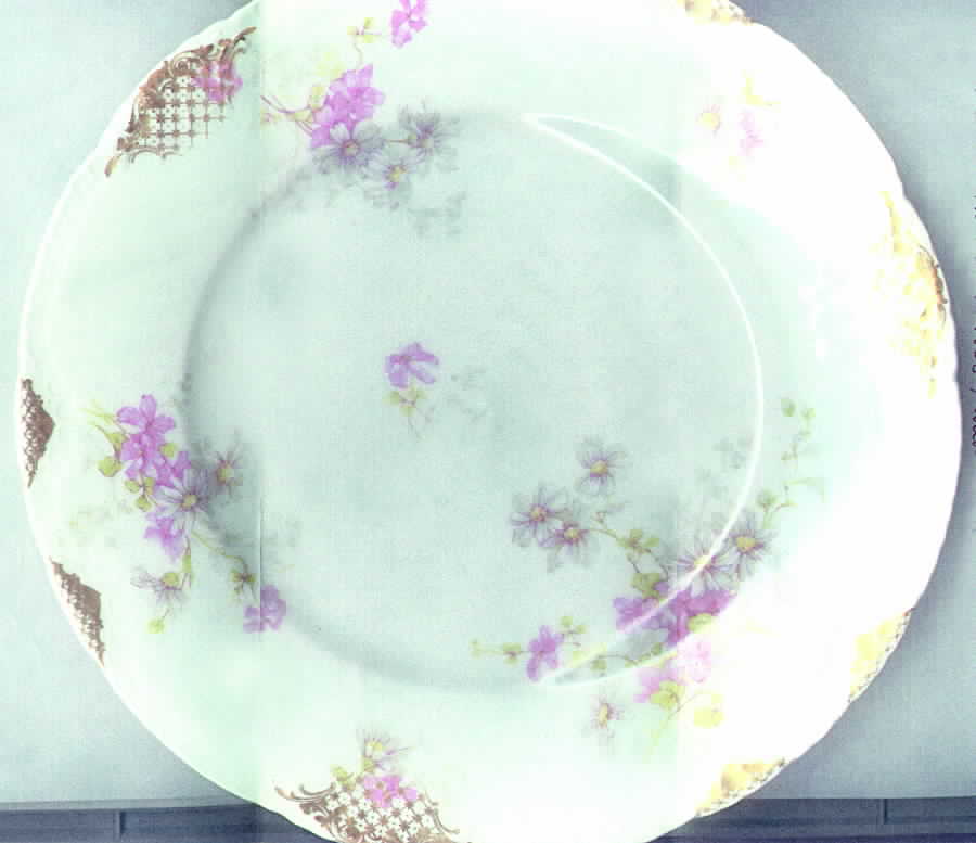 Schleiger 331m Salad Plate by Haviland-1
