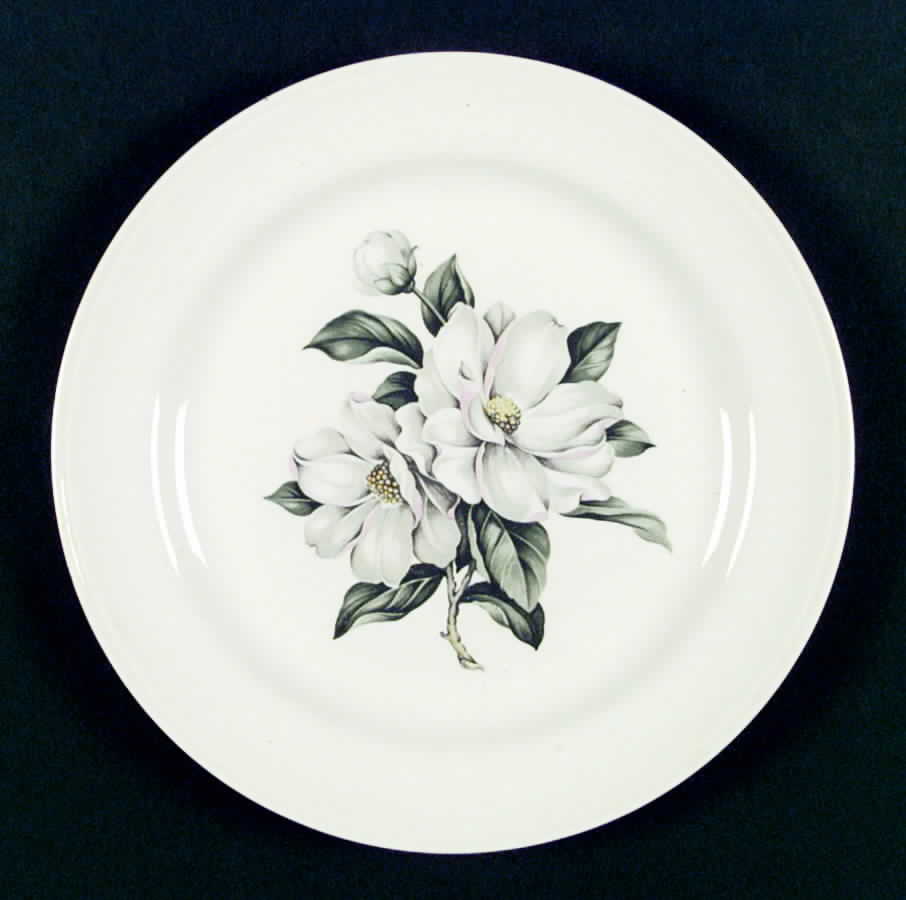 HLC1402 Dinner Plate by Homer Laughlin -1