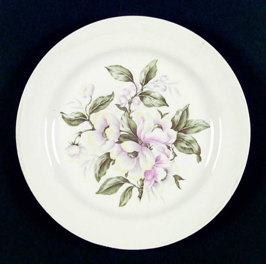 HLC1409 Dinner Plate by Homer Laughlin -1