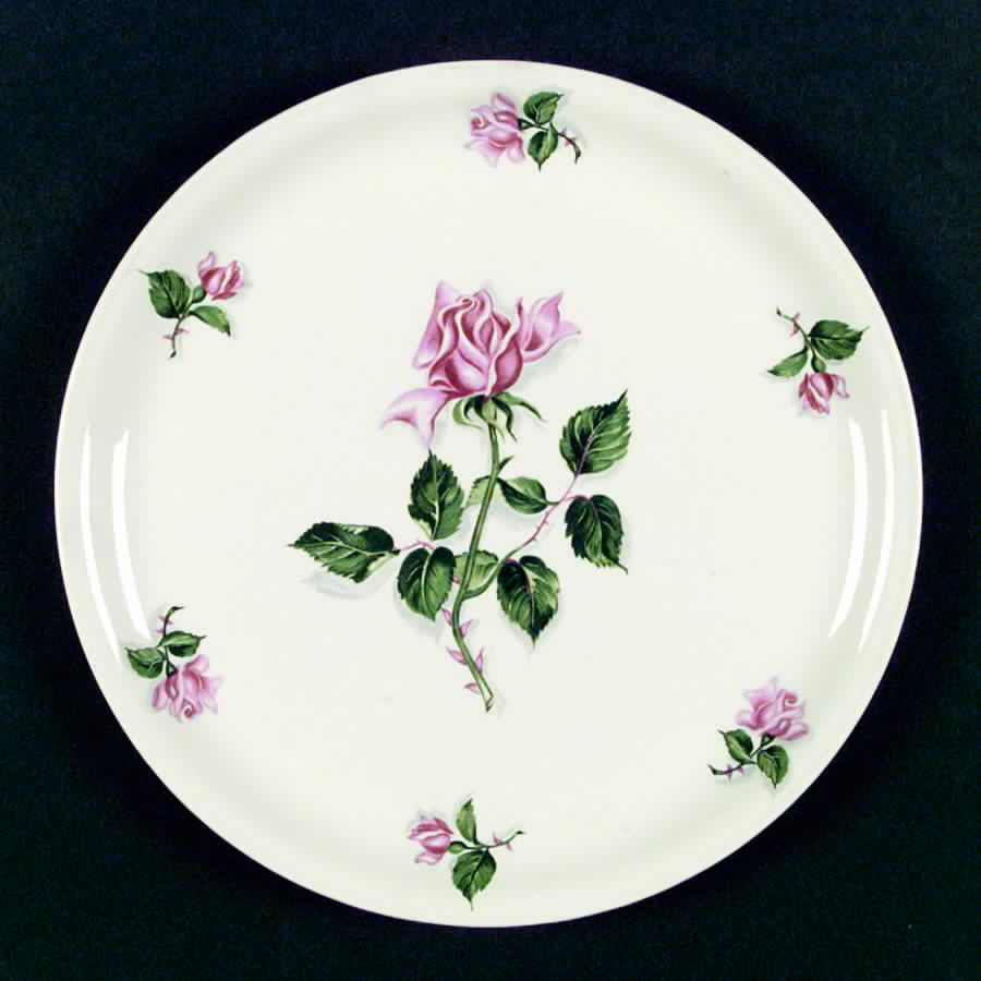 D18 Dinner Plate by Homer Laughlin -1
