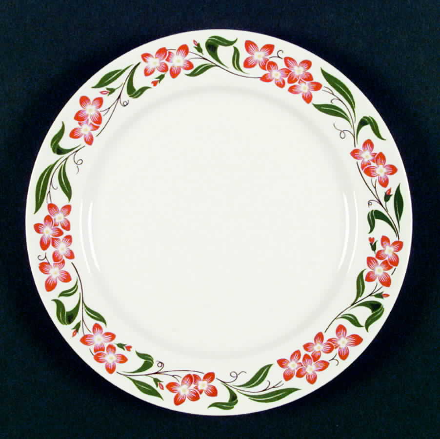 HLC1432 Dinner Plate by Homer Laughlin -1