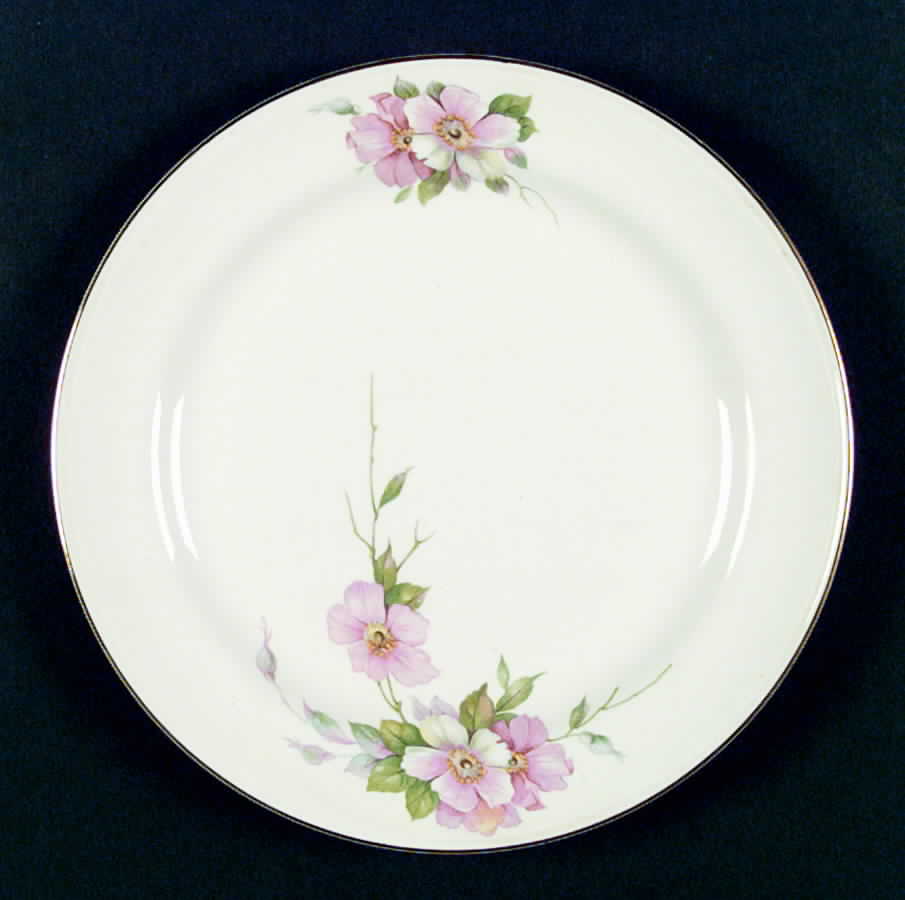 N1697 Dinner Plate by Homer Laughlin -1