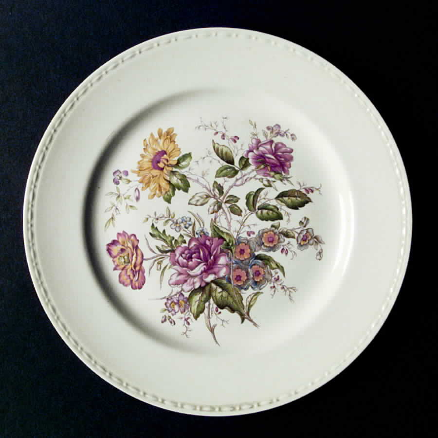 HLC1437 Dinner Plate by Homer Laughlin -1