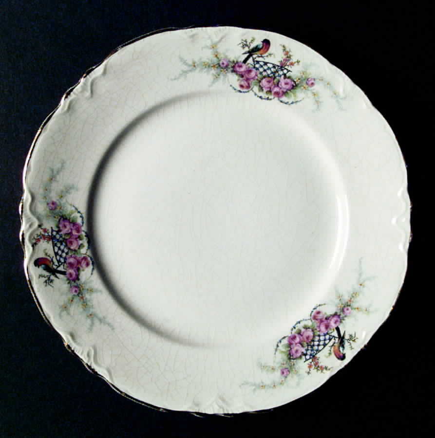 CC8 Dinner Plate by Homer Laughlin -1