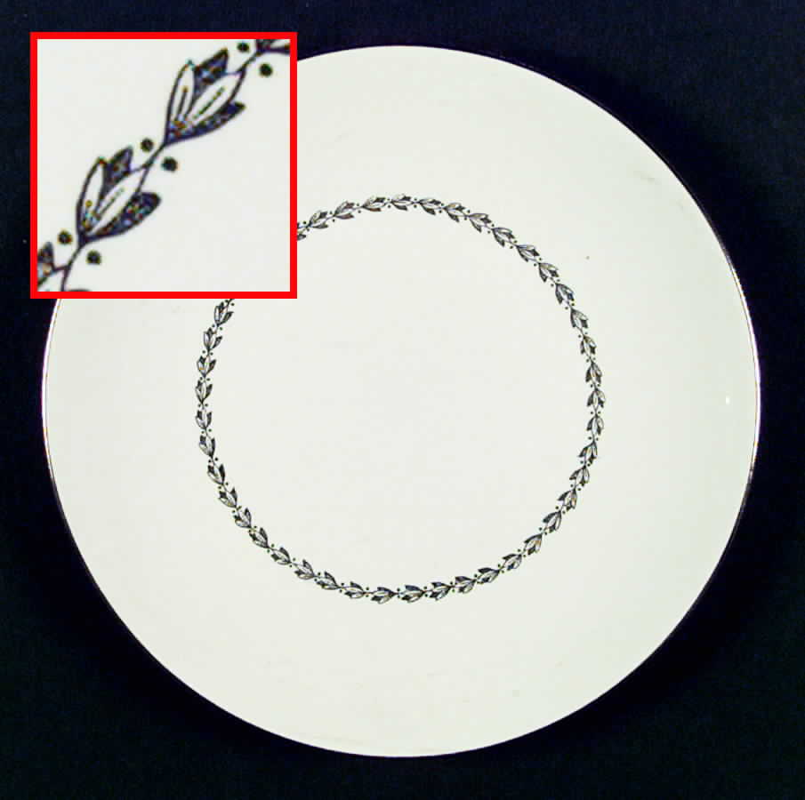 HLC1562 Dinner Plate by Homer Laughlin -1