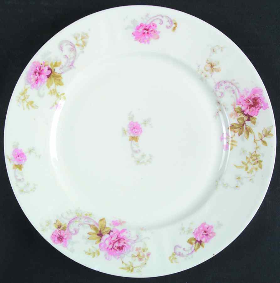 Schleiger 335d Dinner Plate by Haviland-1