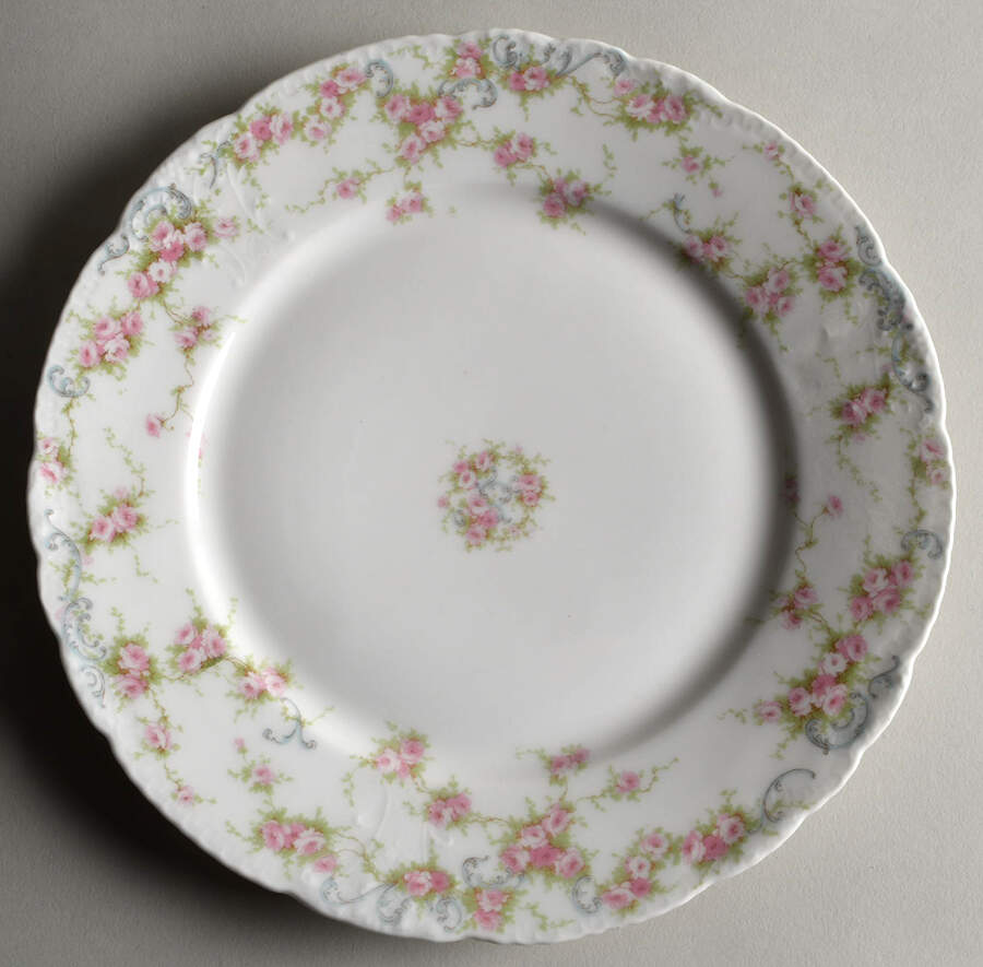 Schleiger 340g Dinner Plate by Haviland-1