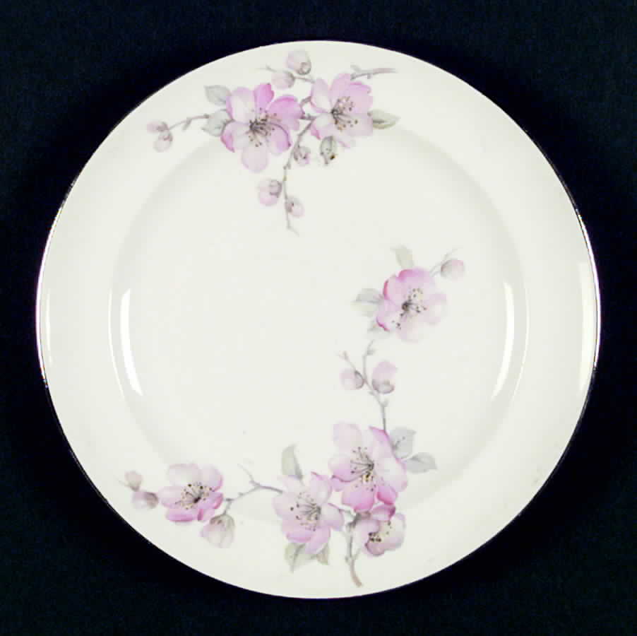 W101 Dinner Plate by Homer Laughlin -1