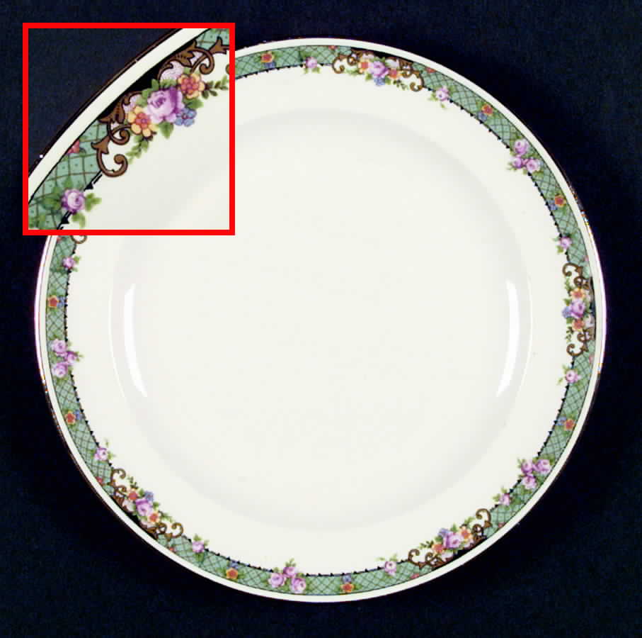 W9570 Dinner Plate by Homer Laughlin -1