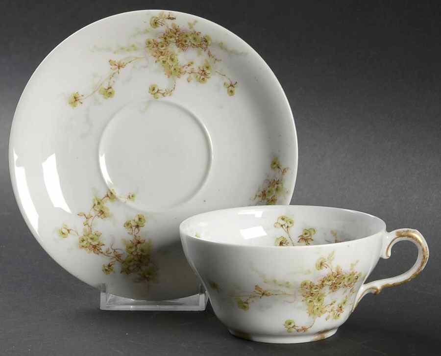 Schleiger 342i Flat Cup & Saucer Set by Haviland-1