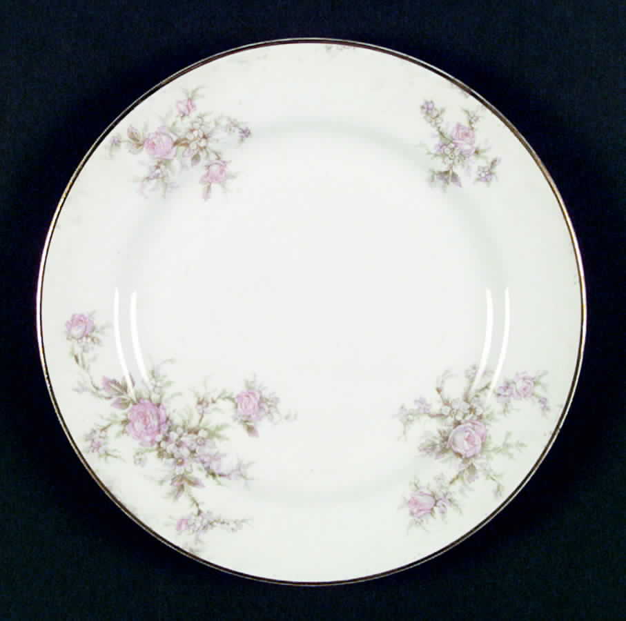 K1013 Dinner Plate by Homer Laughlin -1