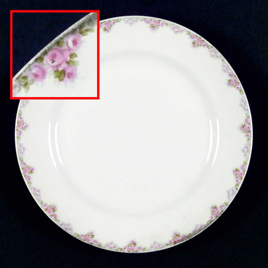 W713 Dinner Plate by Homer Laughlin -1