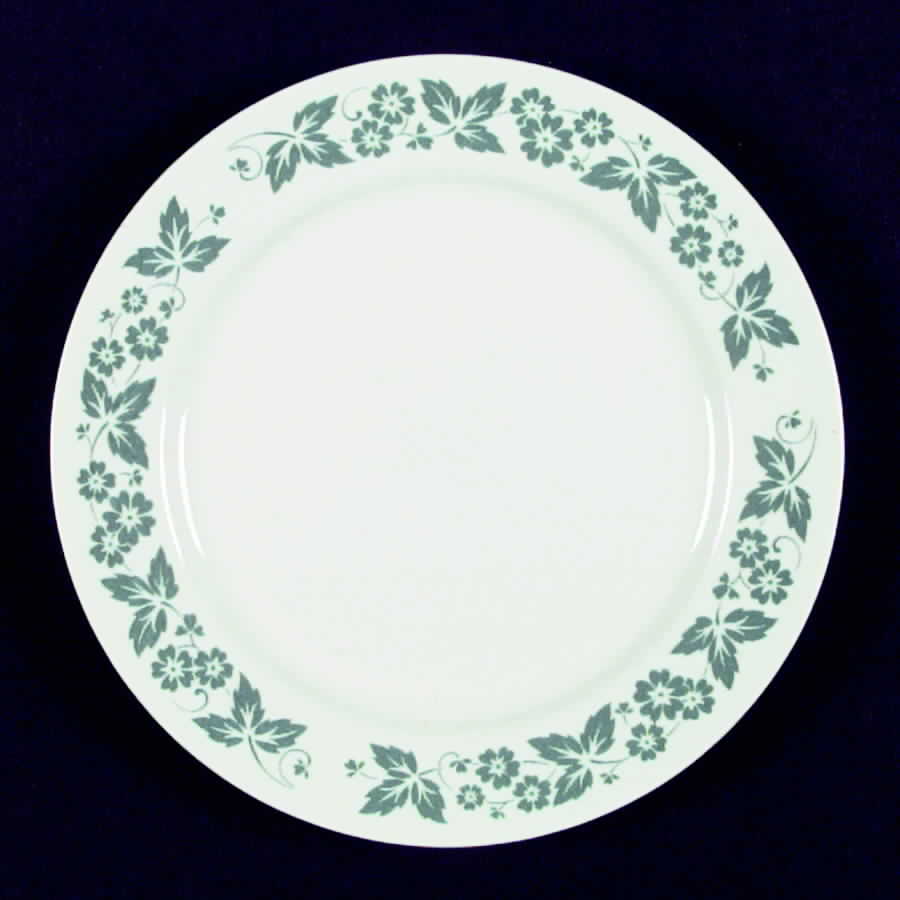 HLC1587 Dinner Plate by Homer Laughlin -1