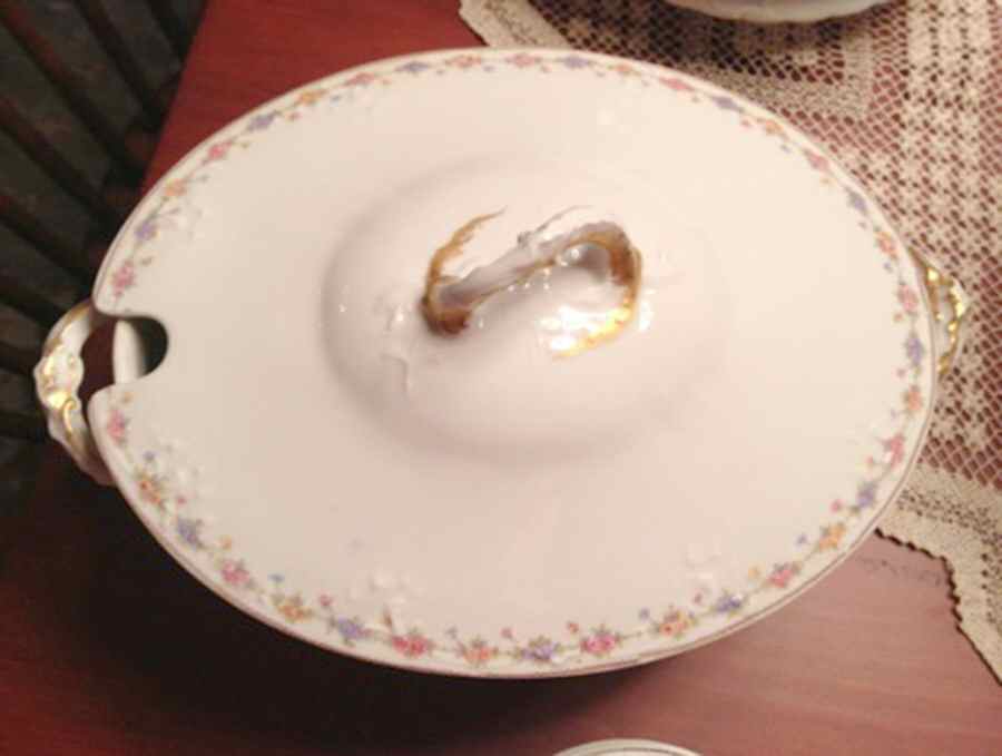 Schleiger 348d Tureen &  Lid by Haviland-1