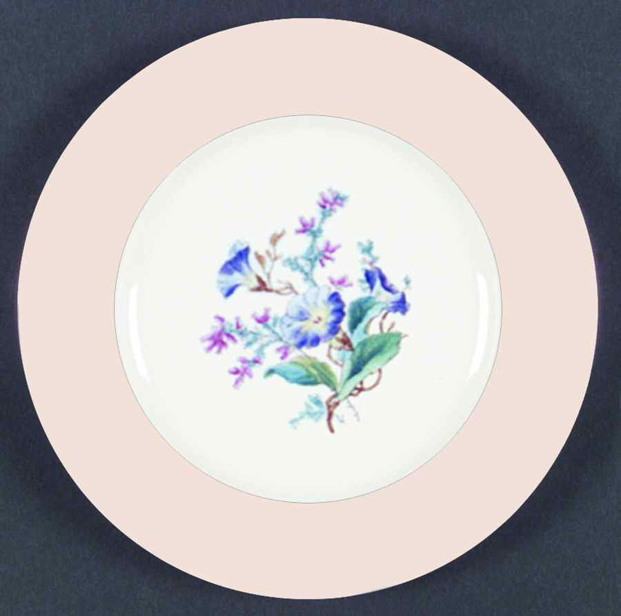 H1348 Dinner Plate by Haviland-1