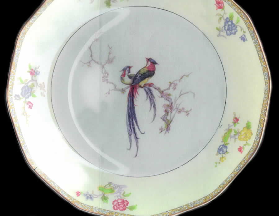 H1351 Dinner Plate by Haviland-1
