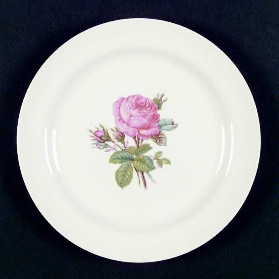 N1580 (No Pink Band) Dinner Plate by Homer Laughlin -1
