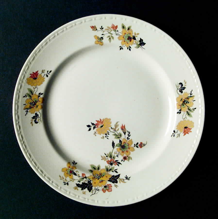 HLC1682 Dinner Plate by Homer Laughlin -1
