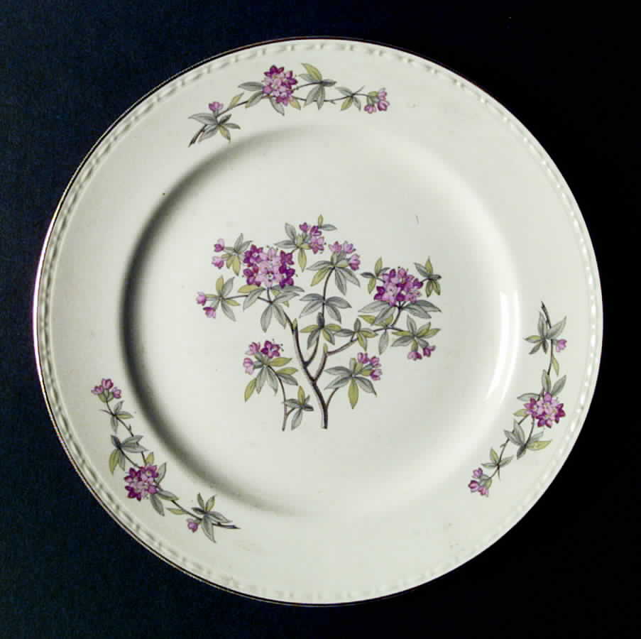 HLC1687 Dinner Plate by Homer Laughlin -1