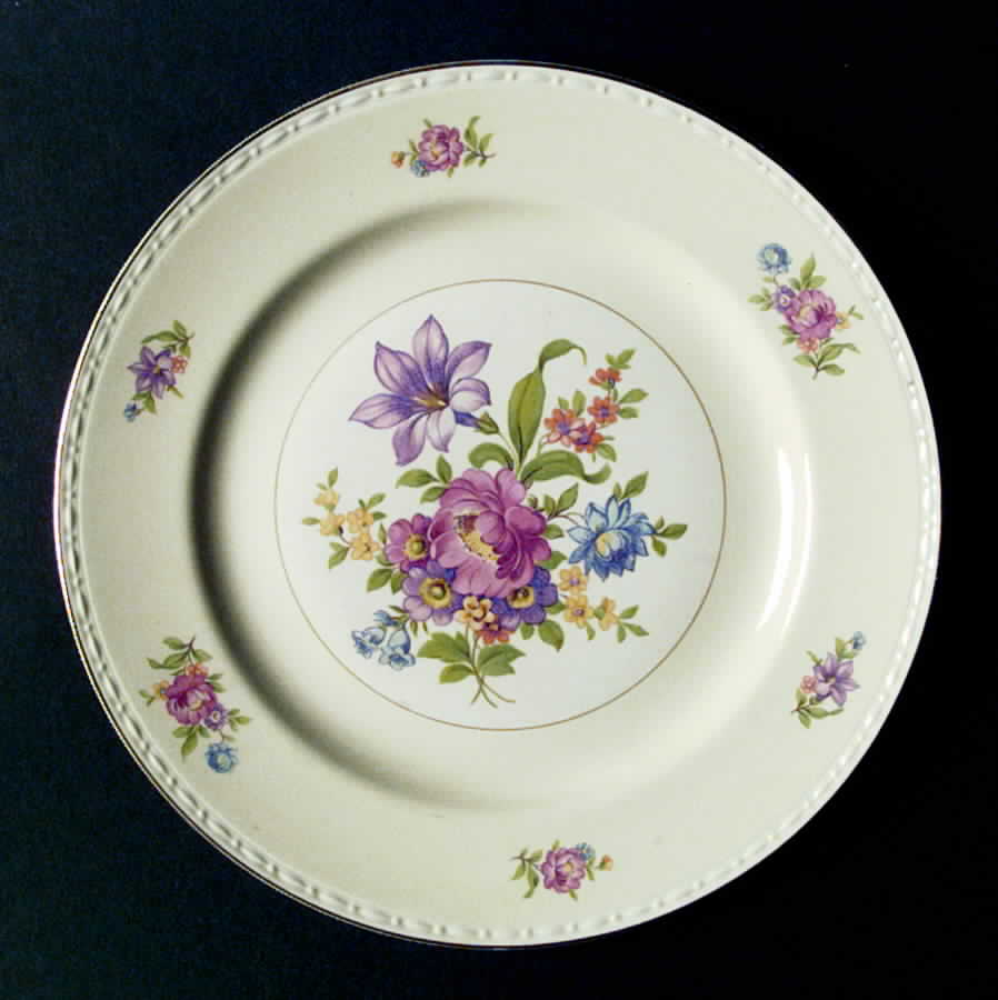 R8617 Dinner Plate by Homer Laughlin -1