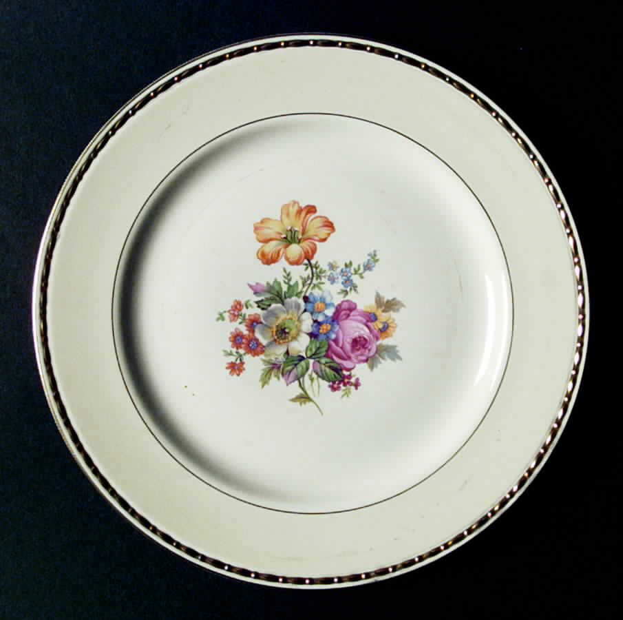 R6109 Dinner Plate by Homer Laughlin -1