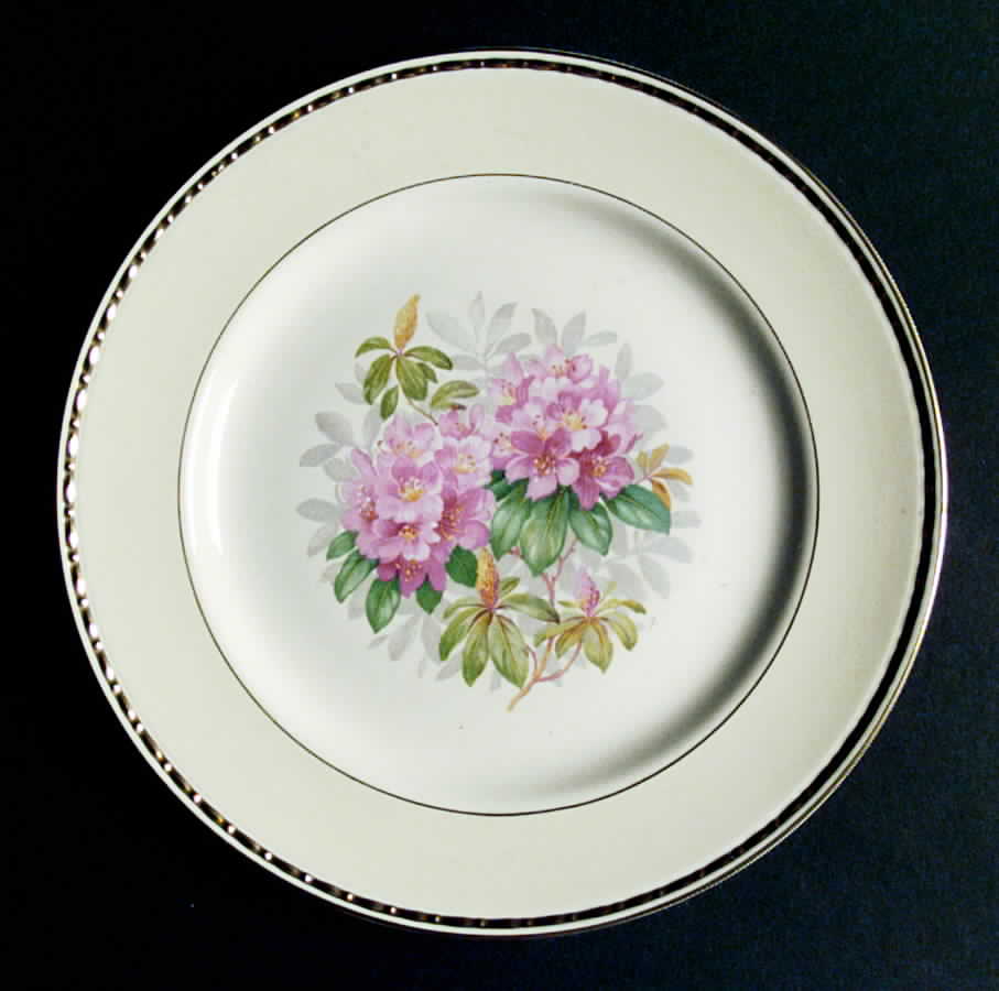 R6102 Dinner Plate by Homer Laughlin -1