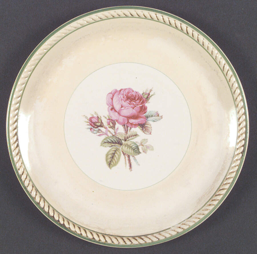 HLC1716 Dinner Plate by Homer Laughlin -1