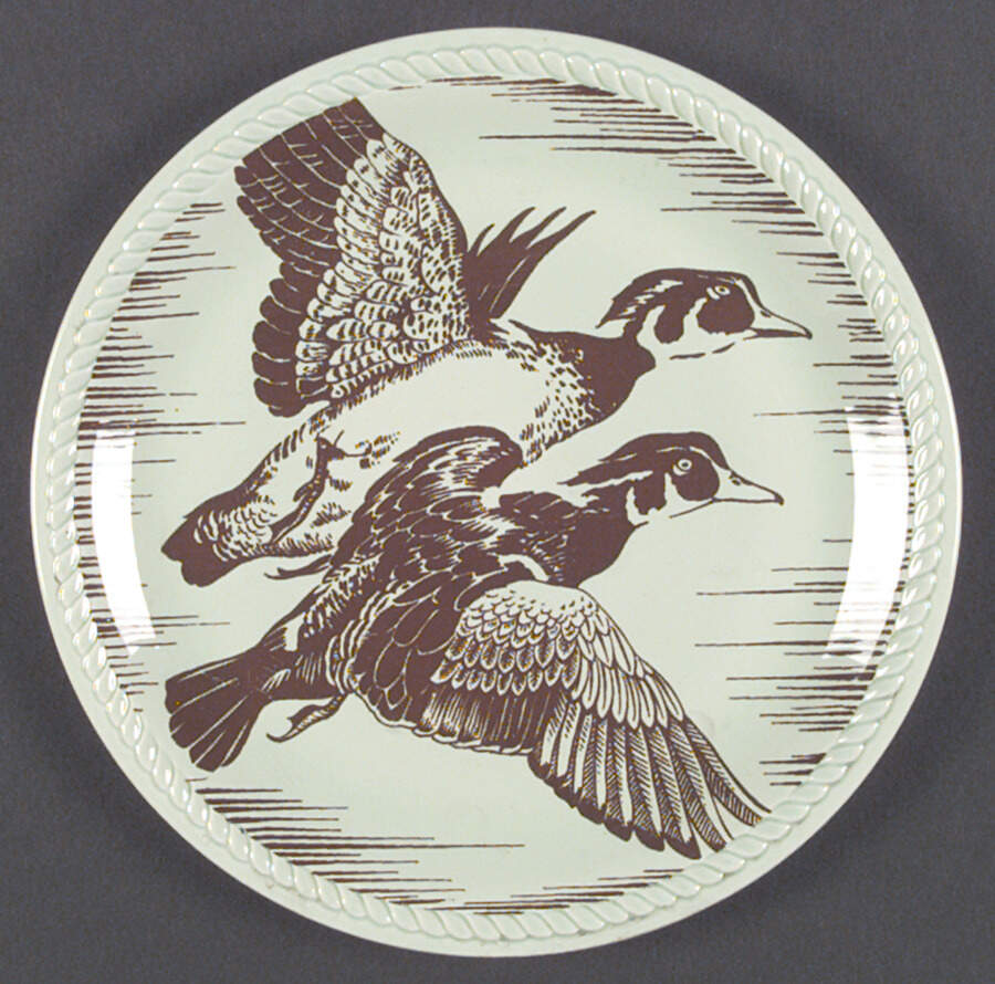 HLC1802 Dinner Plate by Homer Laughlin -1